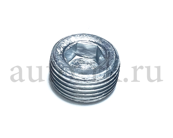 Пробка К22х1,5 ГБЦ 2101-07/21-31 (БелЗАН)(10шт)